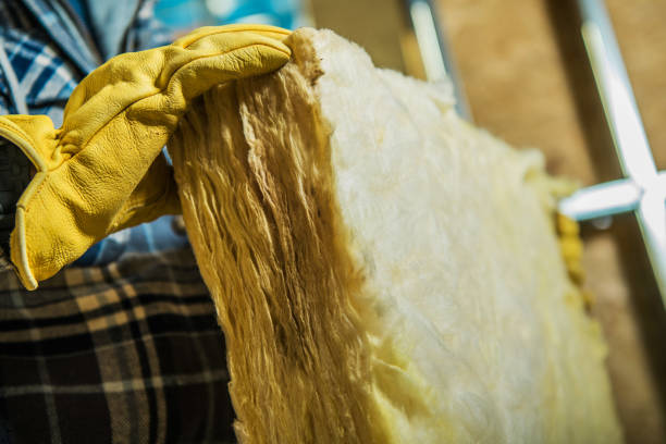Best Insulation Maintenance and Repair in Raven, VA