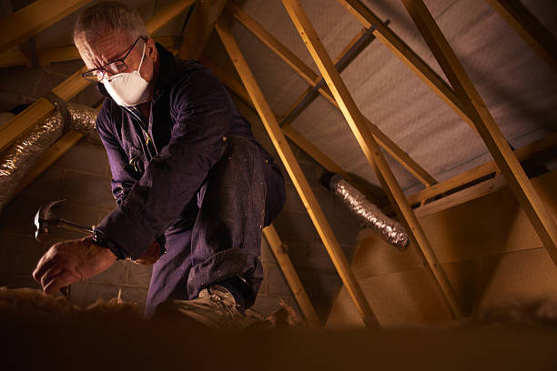 Best Insulation Materials and Products in Raven, VA
